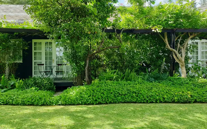 Huis met een groot groen gazon, struiken en bomen
